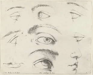 Zeven ogen, twee monden en een neus (series title: De beginselen van het tekenen, I principii del disegno)