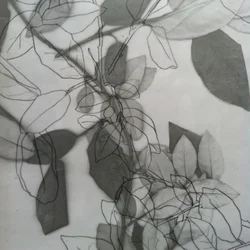 Botanisch, 2014 (digitaal)