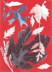 Jol XII, 2017 (monoprint op papier)