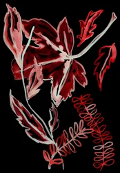 Nacht Flora I, 2018 (digitaal)