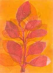 Zomertuin II, 2015 (monoprint op papier)