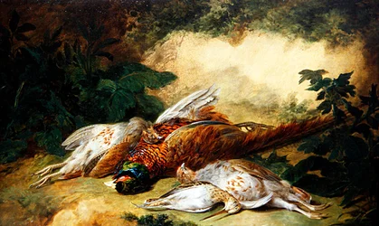 Een Stilleven van Dood Wild in een Landschap