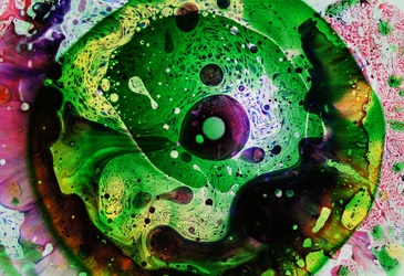 Groene wereld, 2024