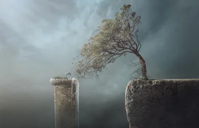 Door de wind geteisterde boom op een klif
