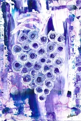 Abstract: Paarse druiven