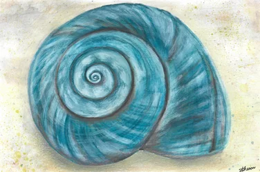 Blauwe spiraalvormige schelp