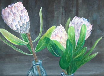 Stilleven met roze protea