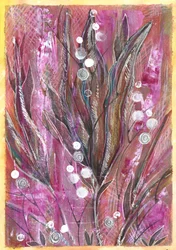 Levendige magenta-kleurige planten