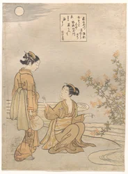 Tamagawa van de struikklaver