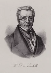 Augustin Pyramus de Candolle, Zwitserse botanicus