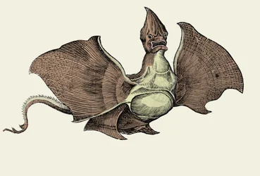 Fantastisch zee monster, illustratie uit 
