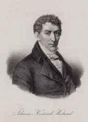 Johann Heinrich Wieland, Zwitserse advocaat en politicus in de Helvetische Republiek