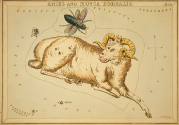 Aries en Musca Borealis, Illustratie uit 