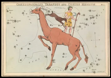 Camelopadalis, Tarandus en Custos Messium, ca. 1825 (kaart, papier, tissue)