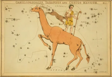 Camelopardalis, Tarandus en Custos Messium, Illustratie uit 