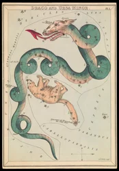 Draco en Ursa Minor