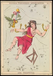Gloria Frederich, Andromeda en Triangula