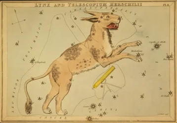 Lynx en Telescopium Herschilii, Illustratie uit 