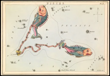 Vissen, c.1825