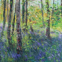 Berkenbomen en Blauwe Klokjes
