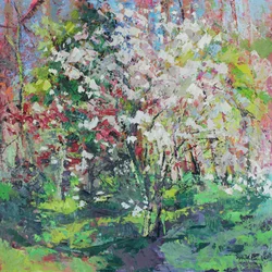 Bloesem in het Bos