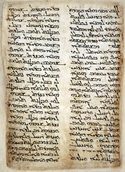 Tekstpagina uit Pentateuch. (Genesis, Exodus, Numeri, Deuteronomium), 464