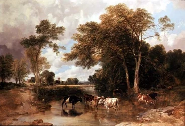 Bebost rivierlandschap