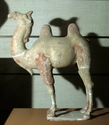 Kleurrijke kameel, grafobject, 618-907