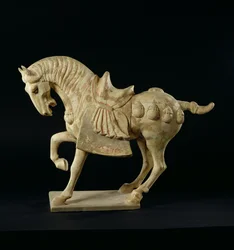 Paard, Chinees, Tang Dynastie, ca. 618-906 AD