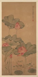 Rode Lotus en Vis