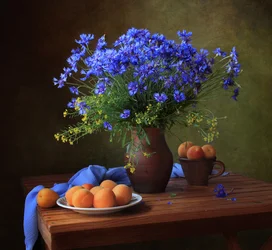 Blauwe korenbloemen en abrikozen