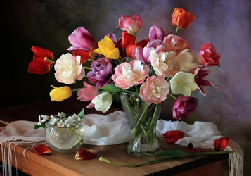 Kleurrijke lentetulpen