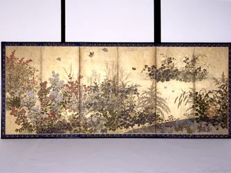 Bloemen En Vlinders