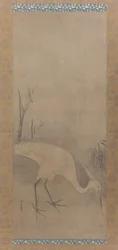 Witte reiger Shirosagi zu
