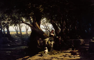 Ardenza of Olijfboomgaard in Antignano