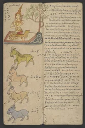 Or 16455 f.5r, Dieren uit de dierenriem, uit Phrommachat (perkament)