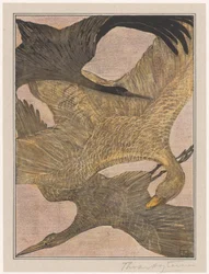 Drie vliegende vogels