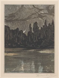 Nachtelijk landschap met trekvogels