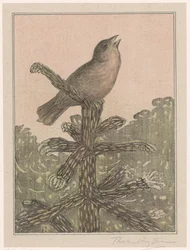 Zingende vogel op naaldboom
