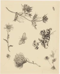 Bloemen en bladeren