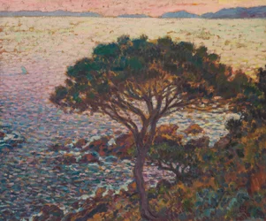 Cap Bénat, pijnboom aan de kust