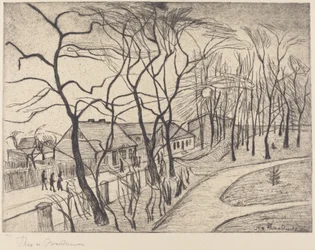 Landschap