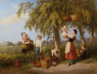 De kersenpluk