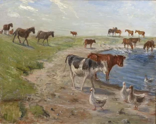 Kalfjes en ganzen bij een drinkplaats op het eiland Saltholm