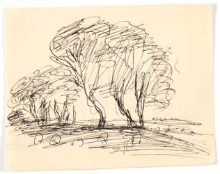 Landschapsschets met grote bomen