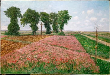 Esparette velden (olieverf op doek)