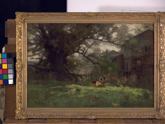 Ochtend--Oude Schofield