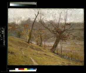 De Bloei Van De Druif