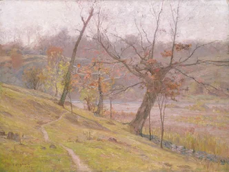 De Bloei van de Druif