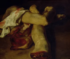 Anatomische Stukken